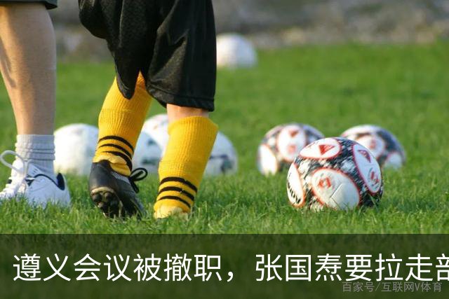 遵义会议被撤职，张国焘要拉走部队，李德用俄语挡在毛主席身前
